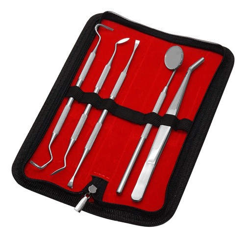 5er dental set zahnpflege - dental,